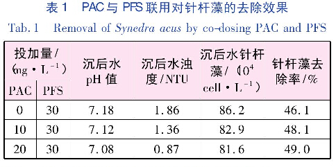 表1PAC與PFS聯(lián)用對針桿藻的去除效果